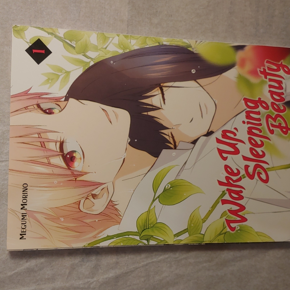 Vol 1-6: Wake Up Sleeping Beauty by Megumi Morino
